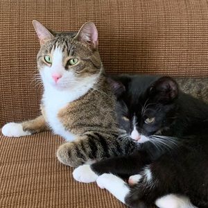 Meet your Posher, Lynne